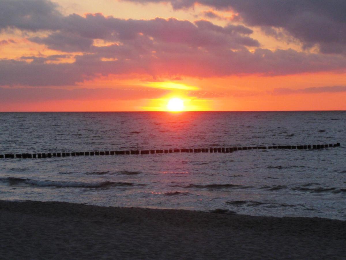 Residenz Am Strand Wohnung 1-17 징스트 외부 사진